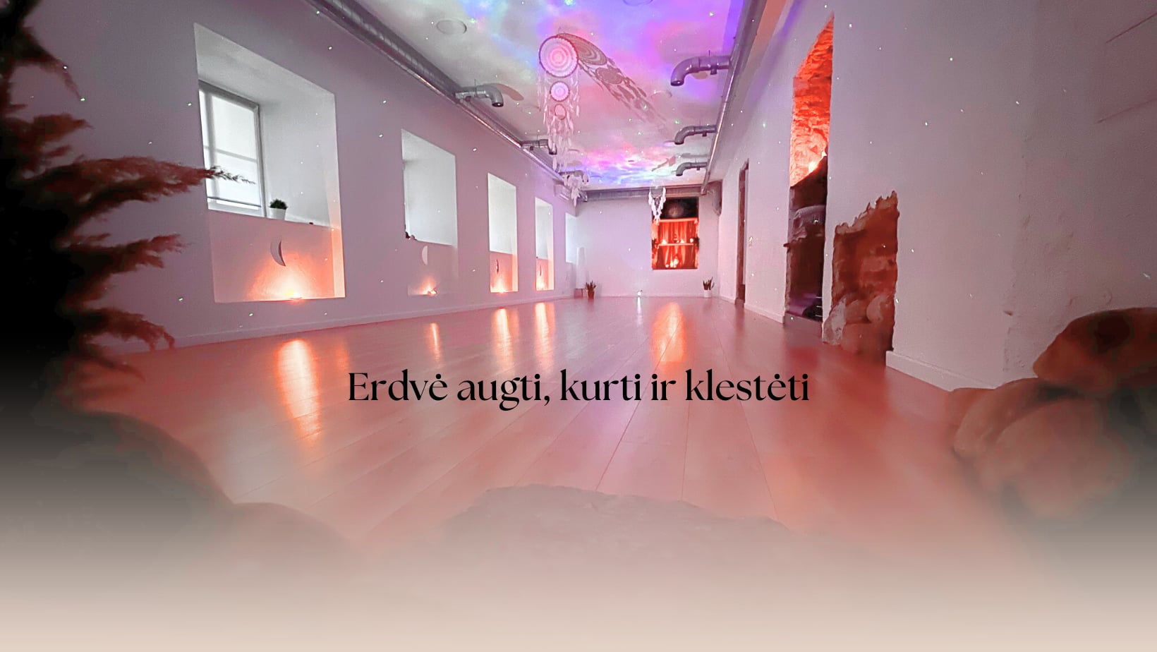 Yantra/Vinyasa/Morgenyoga mit Gina
