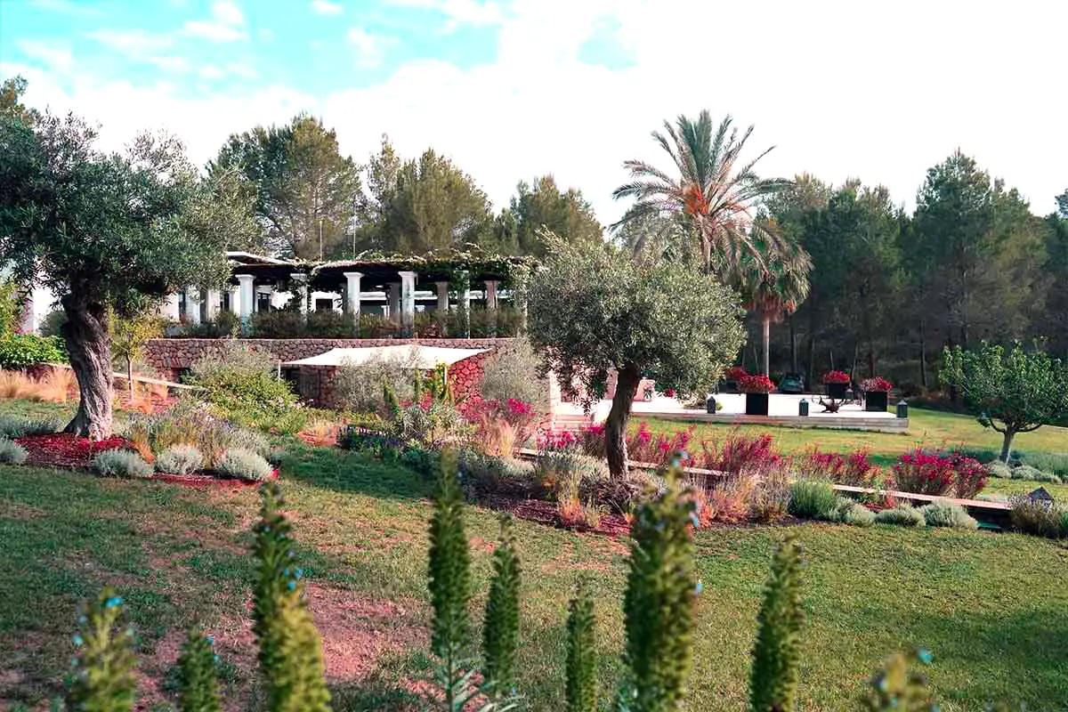 6-tägiges ganzheitliches Männer-Retreat mit Pflanzenmedizin in Ibiza, Spanien
