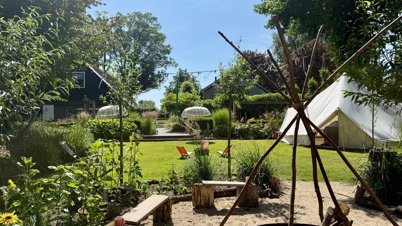 3-TÄGIGER ANGELEITETER PSILOCYBIN-RÜCKZUG IN DER NATUR (NIEDERLANDE)
