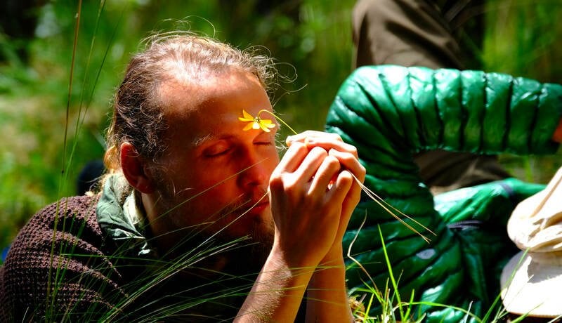 Ayahuasca & San Pedro – Gaia Sagrada