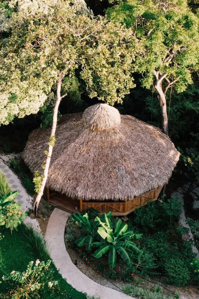 Huachuma (San Pedro)-Immersionen