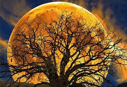 Vollmond-Beobachtungsretreat: Das Herz neu kalibrieren