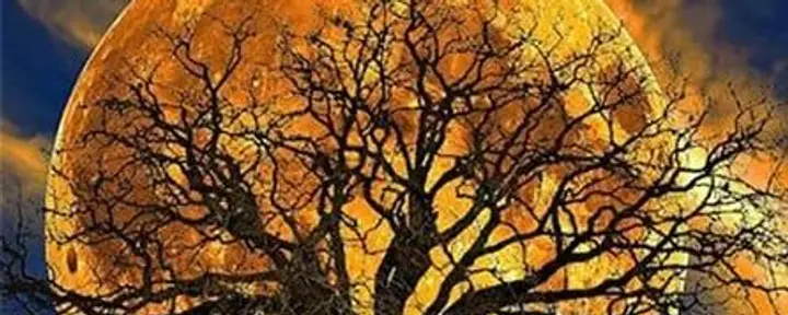 Vollmond-Beobachtungsretreat: Das Herz neu kalibrieren