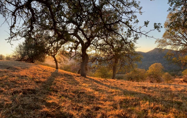 4 Tage Neumondbeobachtung / Stilles Yoga-, Pranayama- und Meditationsretreat