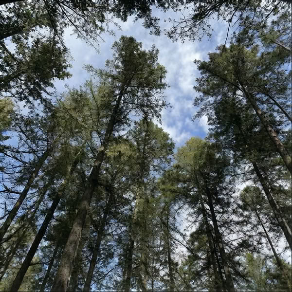 Wochenend-Stille-Zentrierungsgebets-Retreat