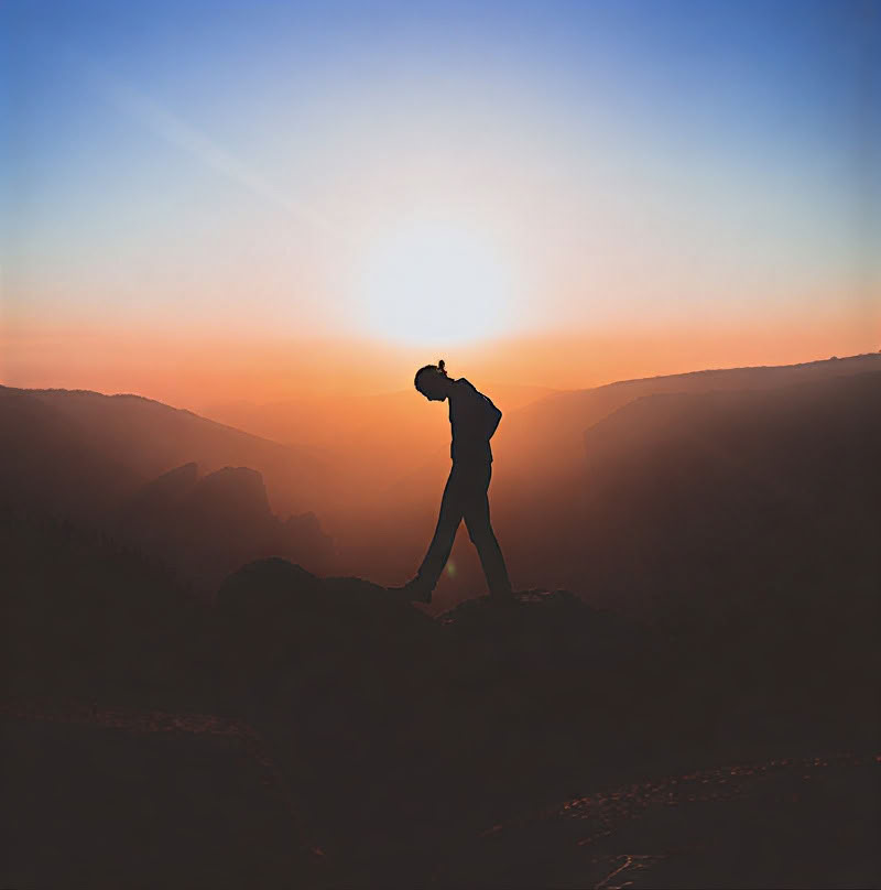 The Art of Being Human: Shambhala-Training Level I