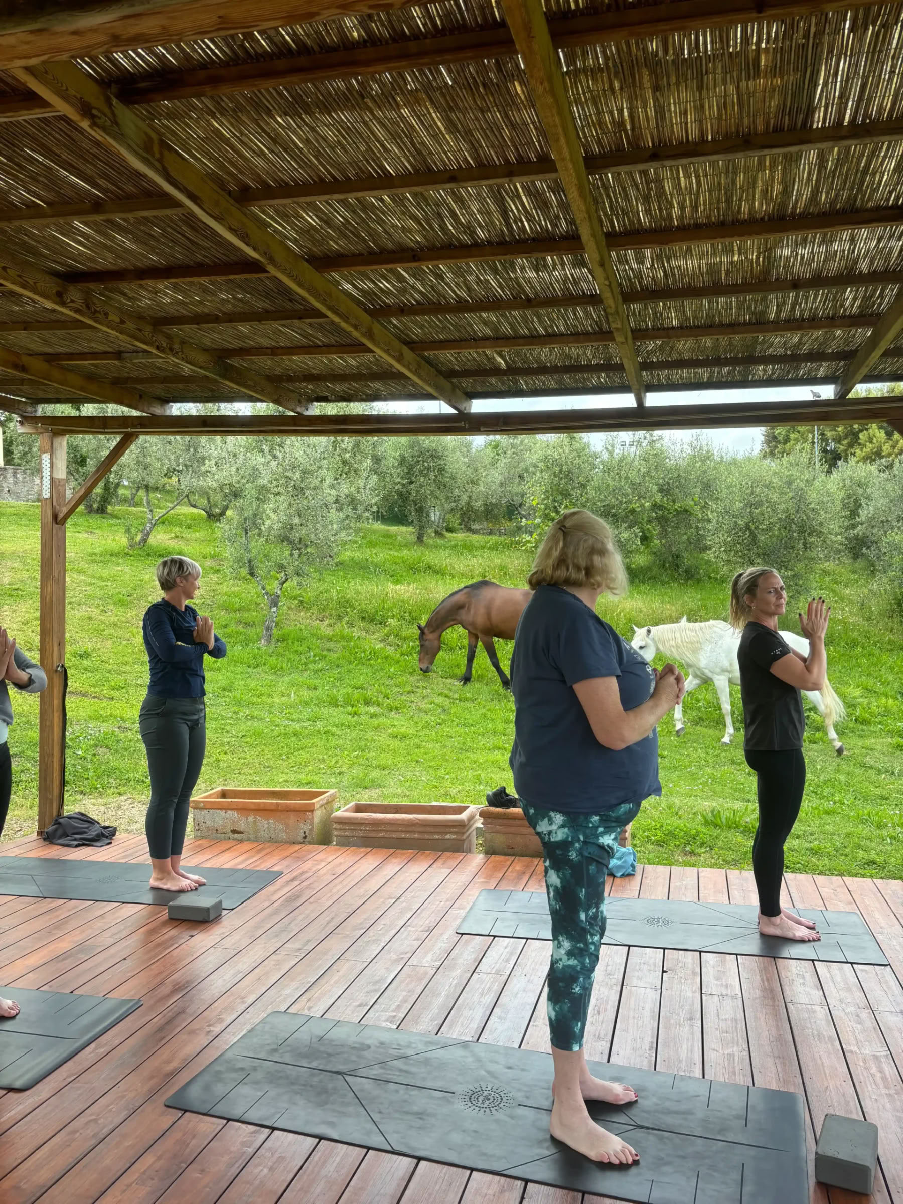 Yoga & Fitness – (4 Tage/3 Nächte)