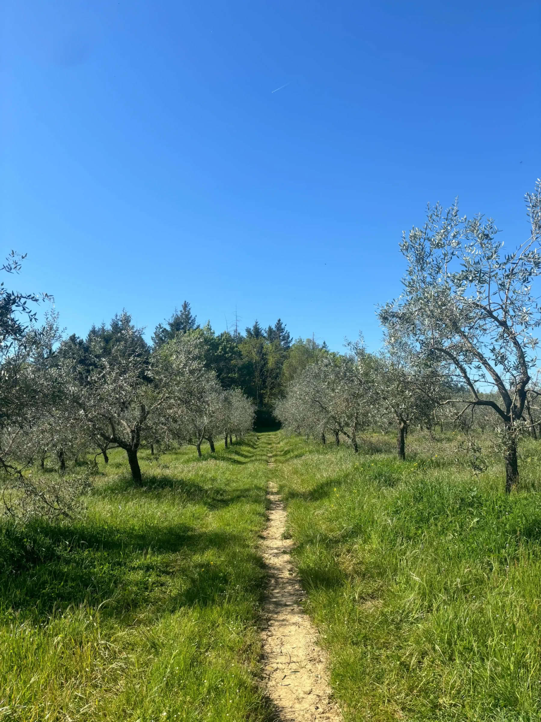 Yoga & Fitness – (4 Tage/3 Nächte)