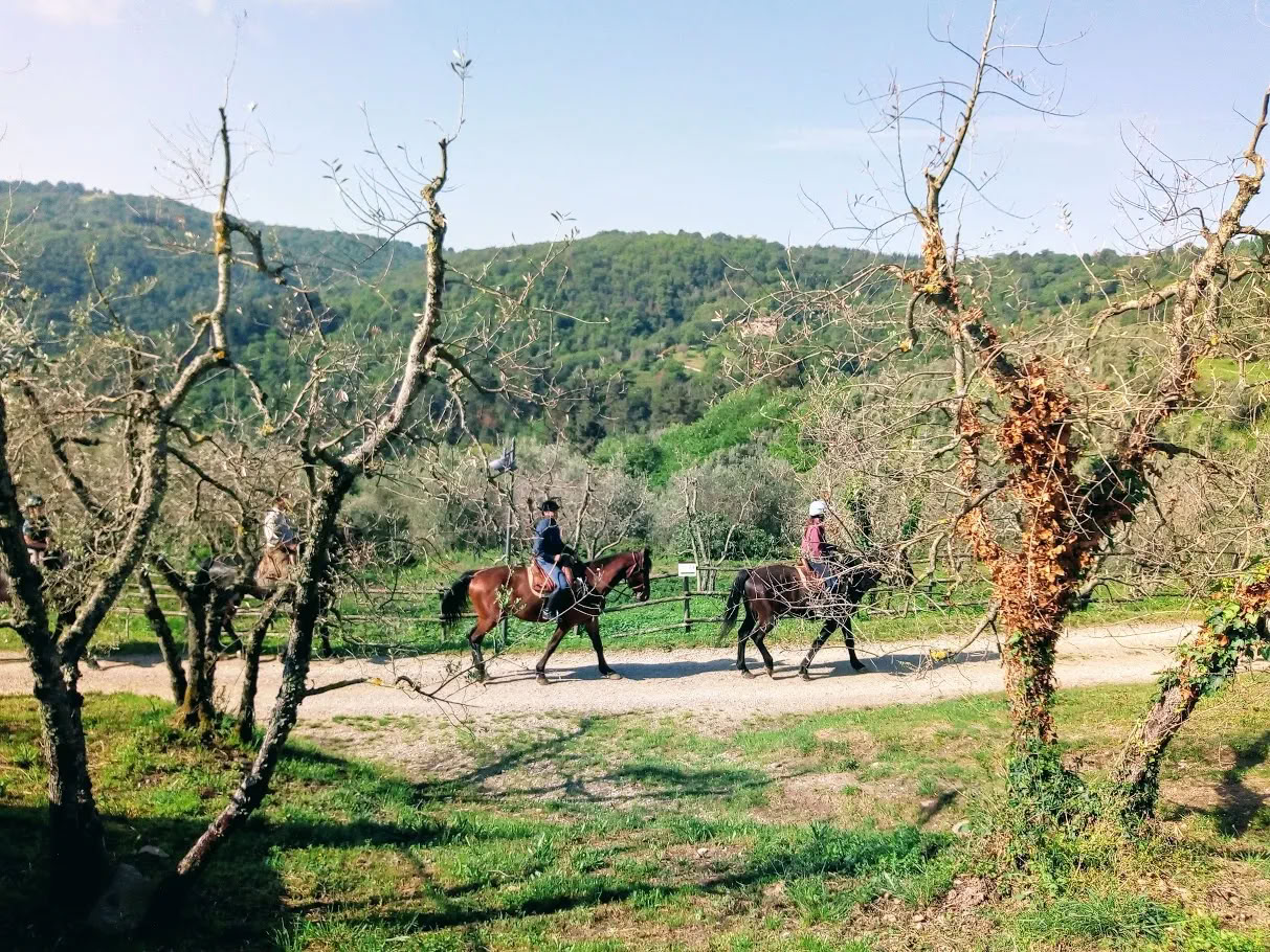 Yoga, Wandern und Reiten