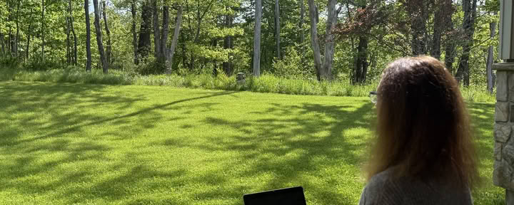 Bevorstehende Programme von John Henderson – Jetzt schreiben. Ein Sommer-Retreat für Schriftsteller