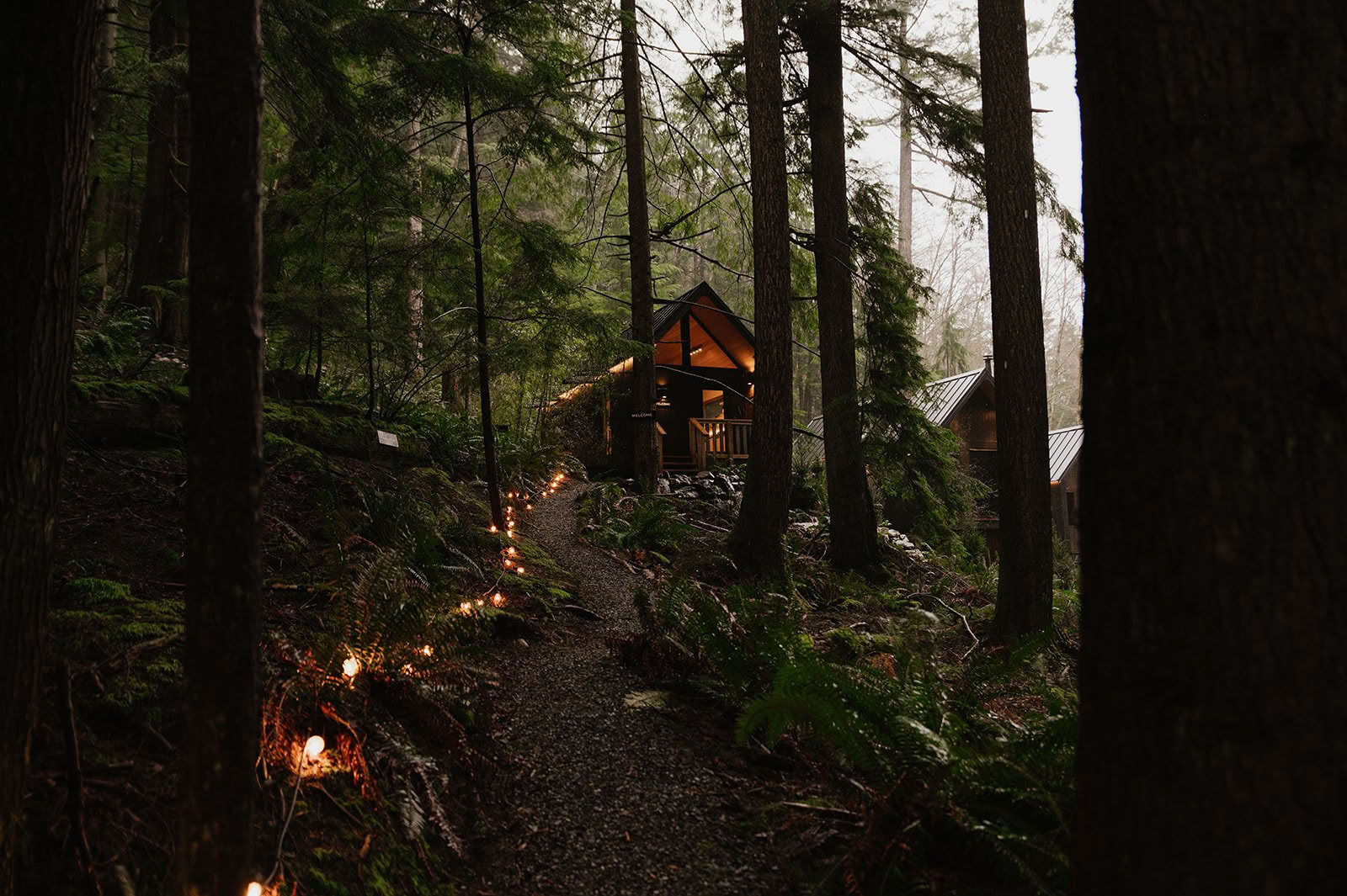 Yoga, Natur & Verbindung Retreat mit Love Elevate Yoga — Nectar Yoga