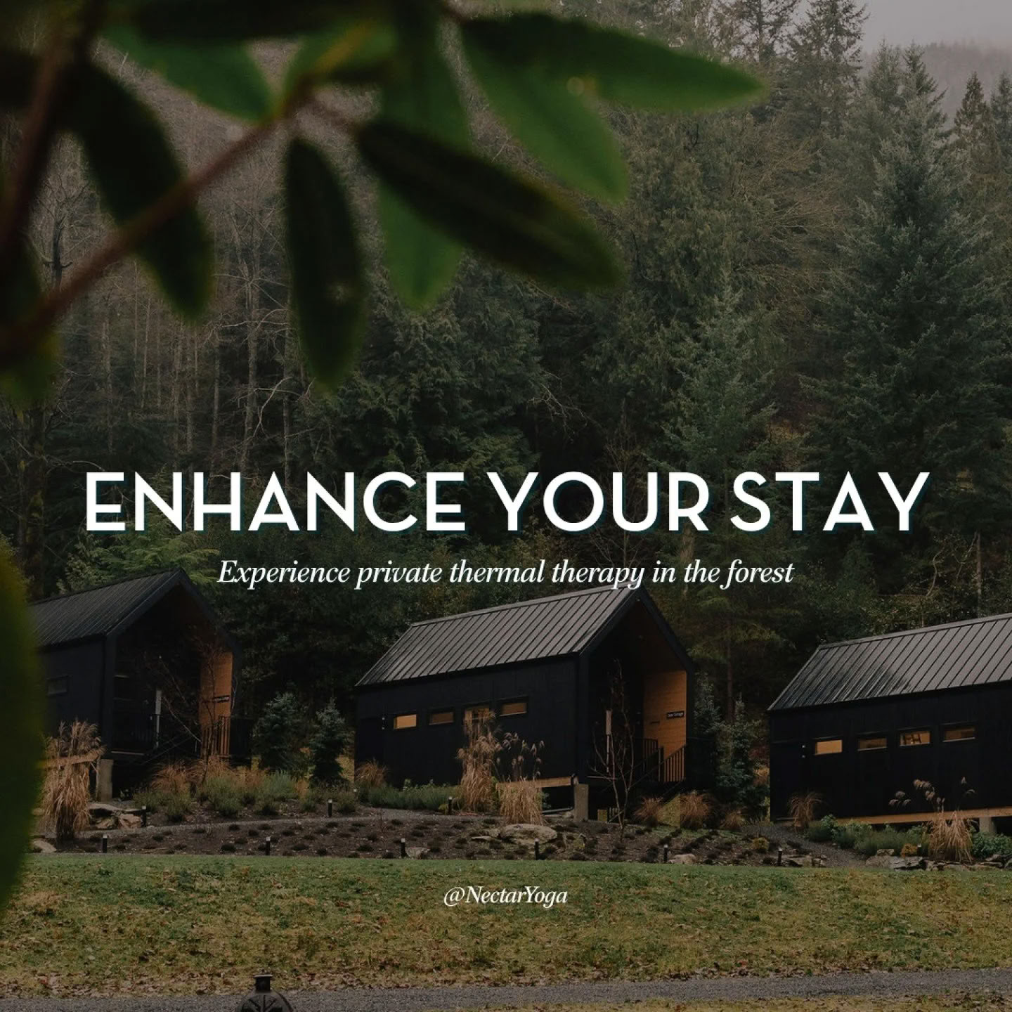 Verwurzeltes Herz Yoga- und Wellness-Retreat | Bowen Island Yoga