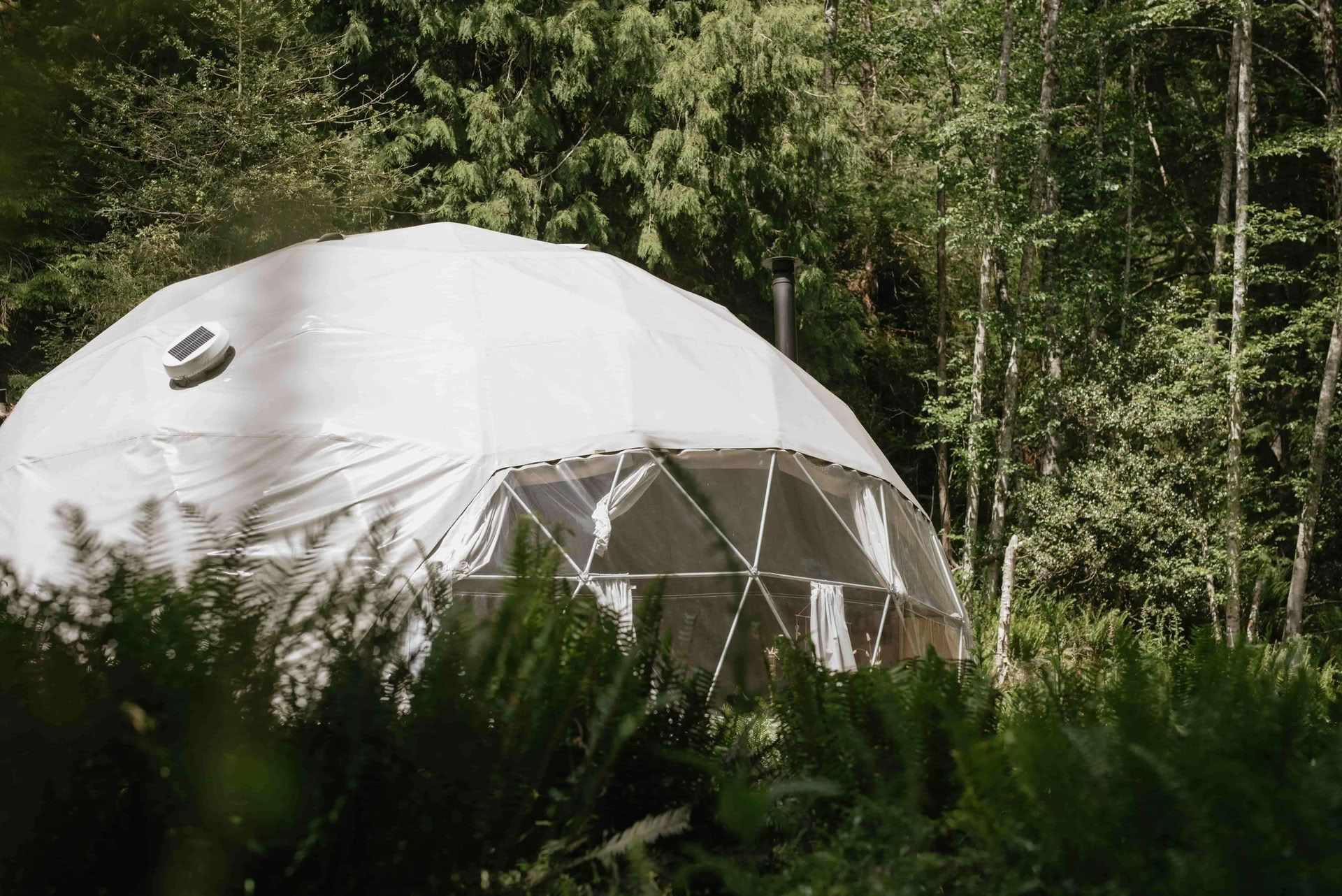 Return zur Freude Tagesretreat mit Slow Burn Wellness | Nectar Yoga Bowen Island