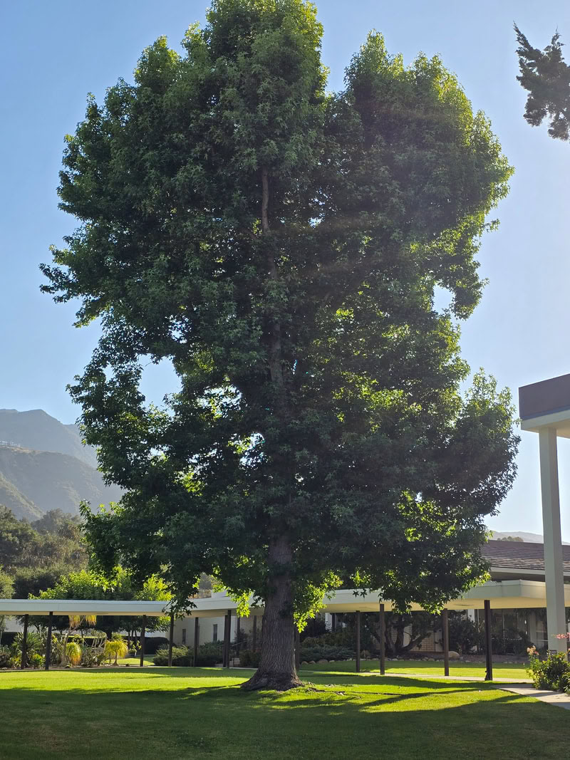 Meditationsretreat in Assisi