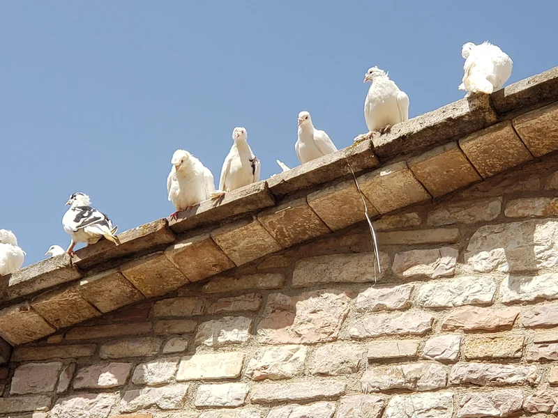 Meditationsretreat in Assisi