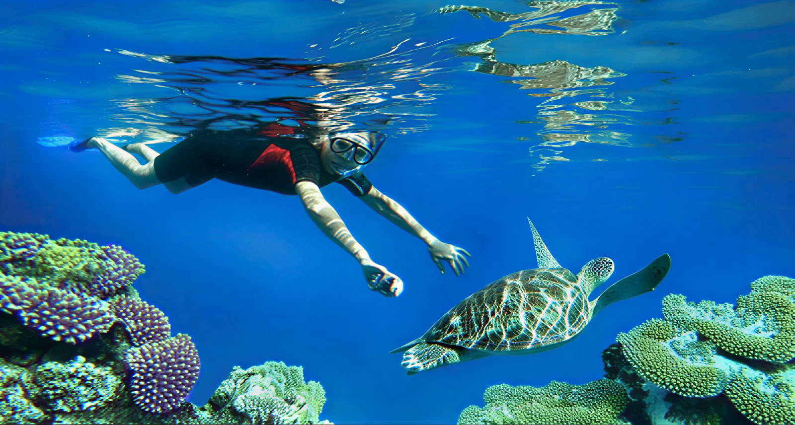 Menjangan-Insel-Schnorcheltour
