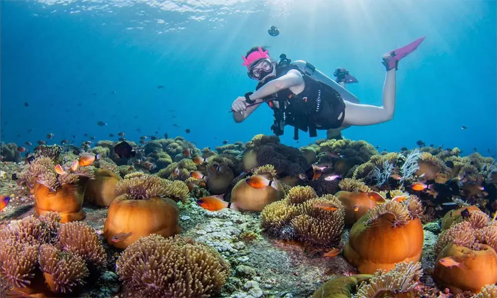 Menjangan-Insel-Tauchen