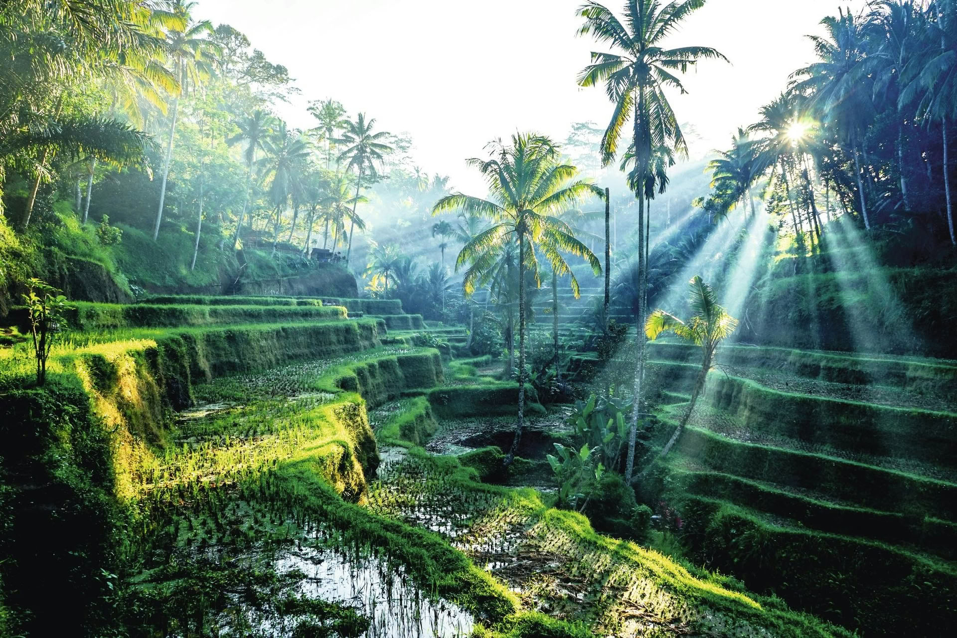 Bali Bliss Yoga-Retreat