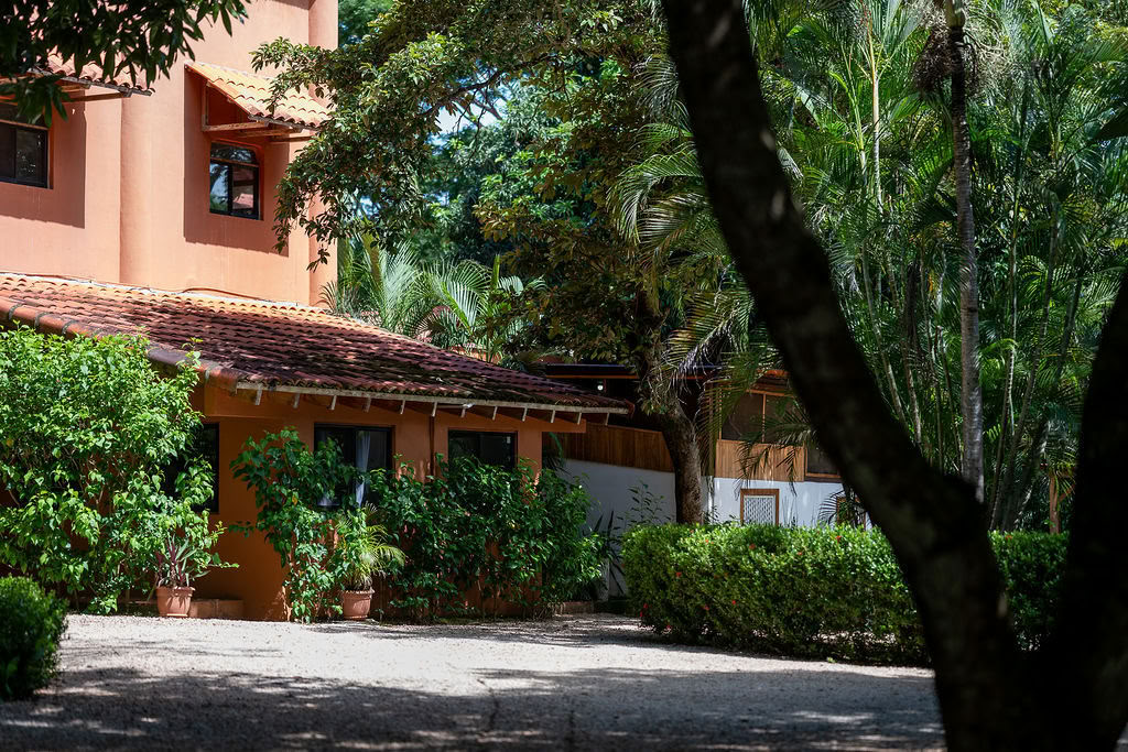 The Decoding Alpha Retreat
