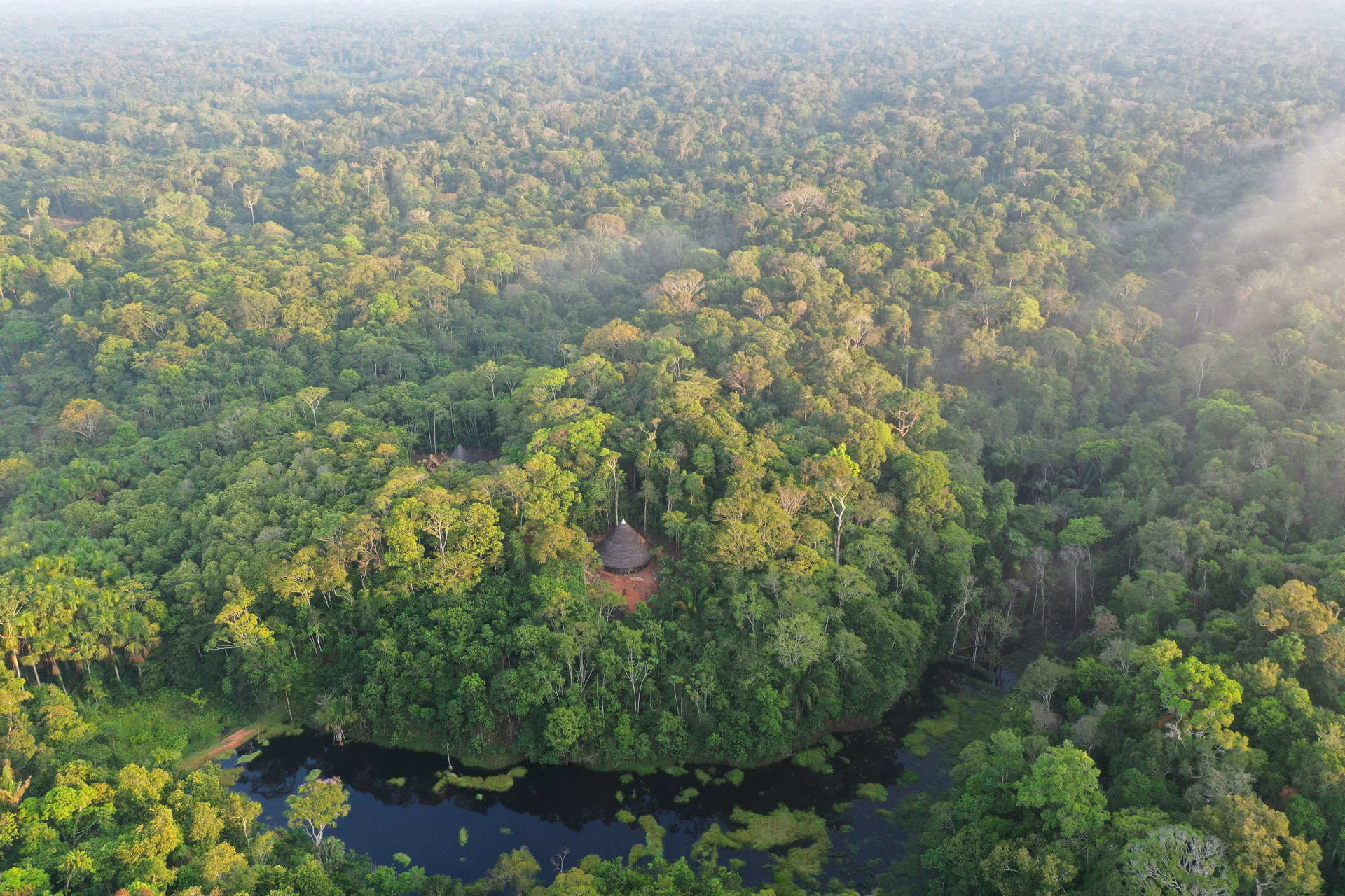 Offenes Ayahuasca-Retreat in Psychonauta Tribe