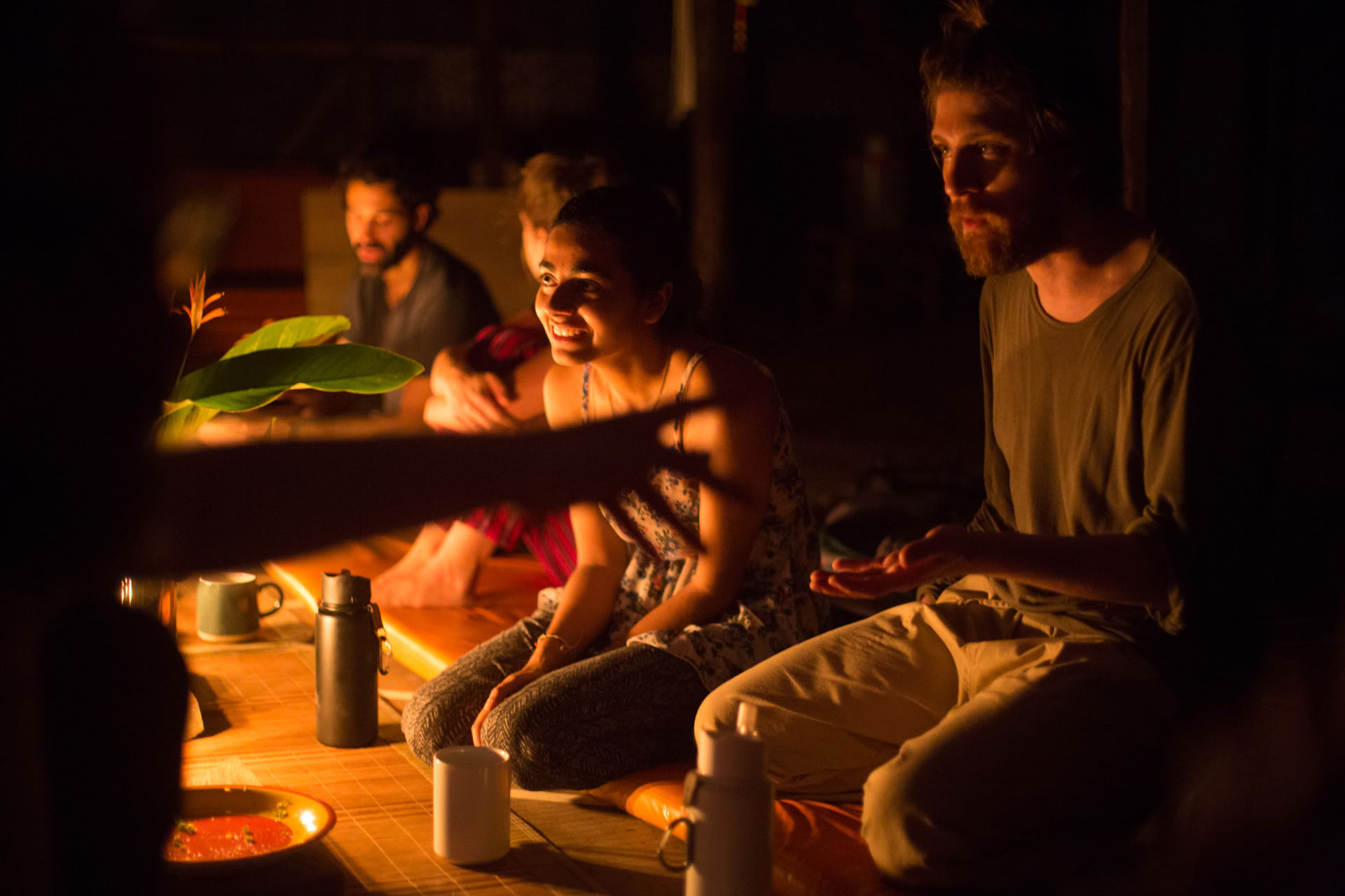 Offenes Ayahuasca-Retreat in Psychonauta Tribe