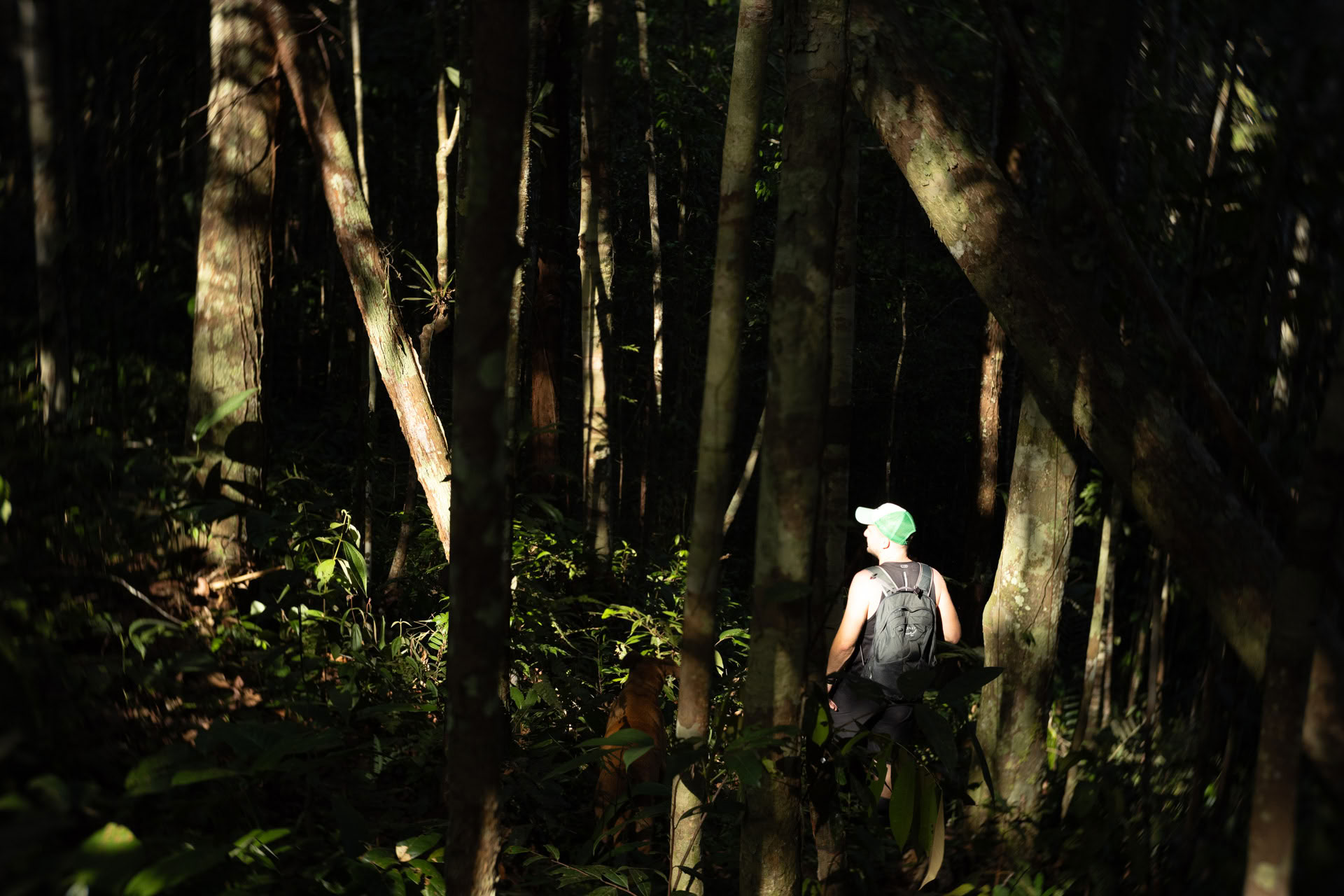Offenes Ayahuasca-Retreat in Psychonauta Tribe
