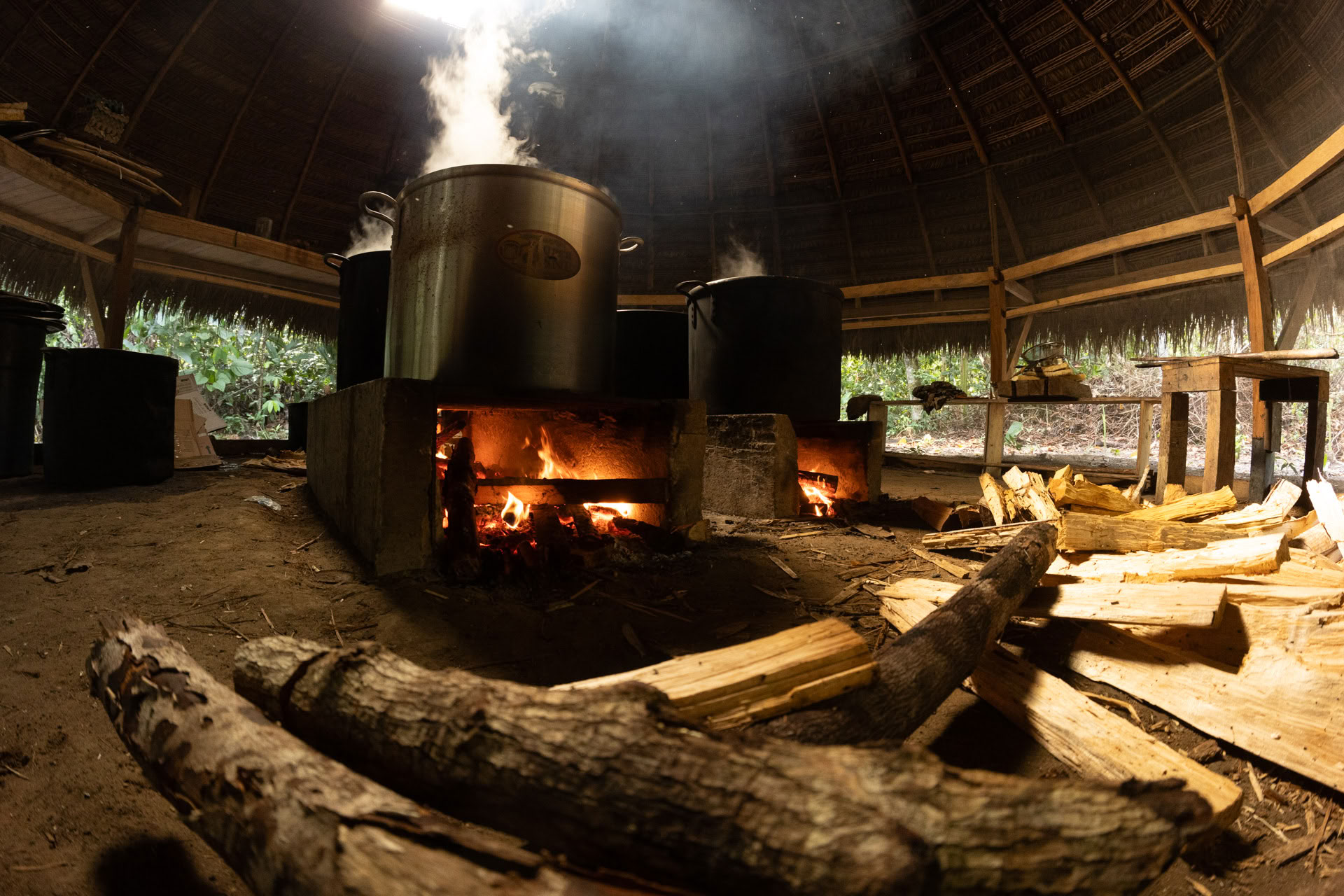 Offenes Ayahuasca-Retreat in Psychonauta Tribe