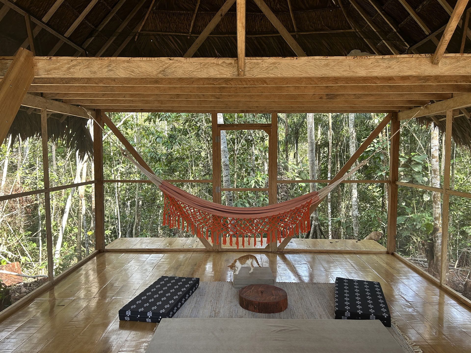 Offenes Ayahuasca-Retreat in Psychonauta Tribe