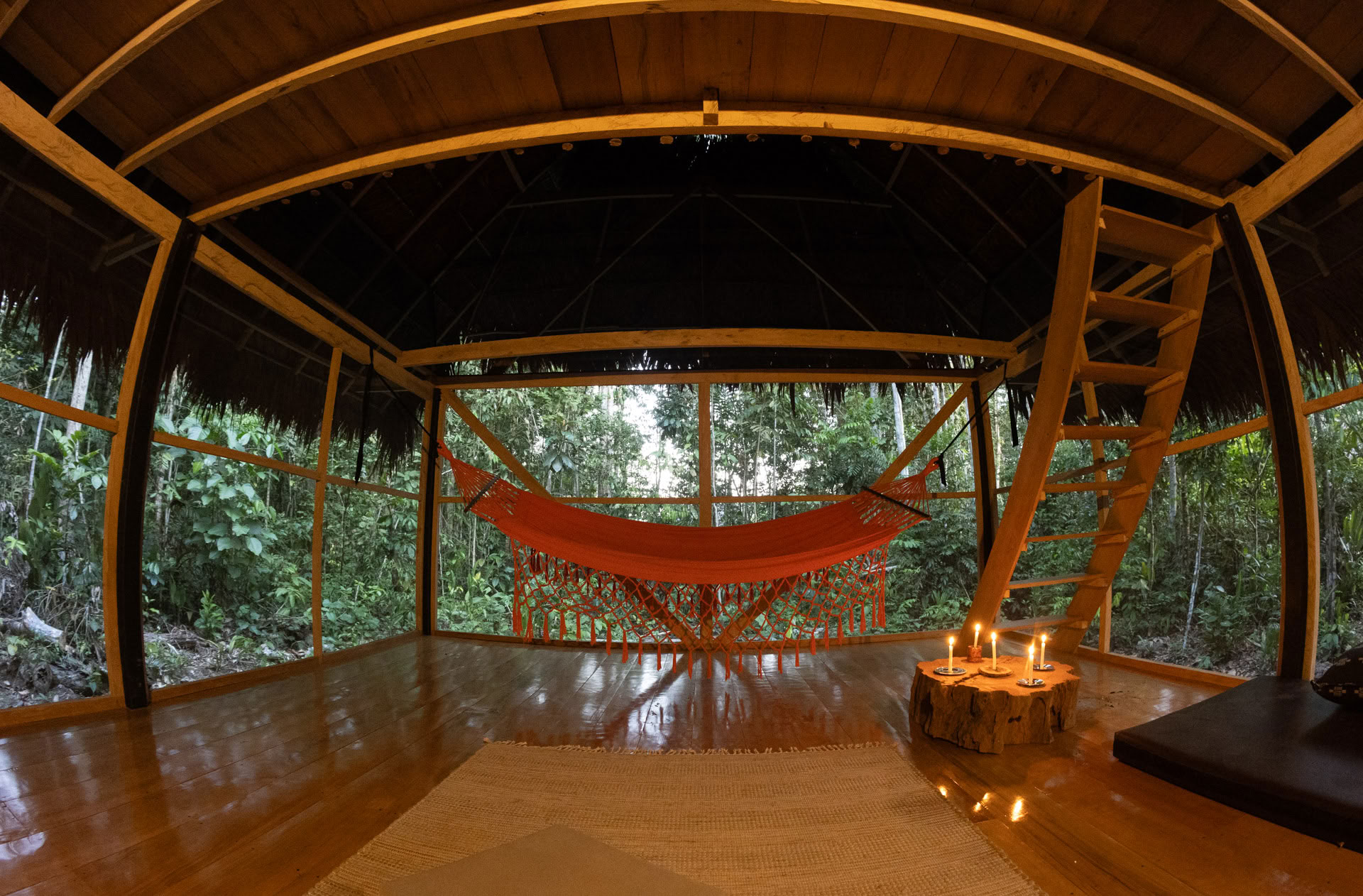Offenes Ayahuasca-Retreat in Psychonauta Tribe