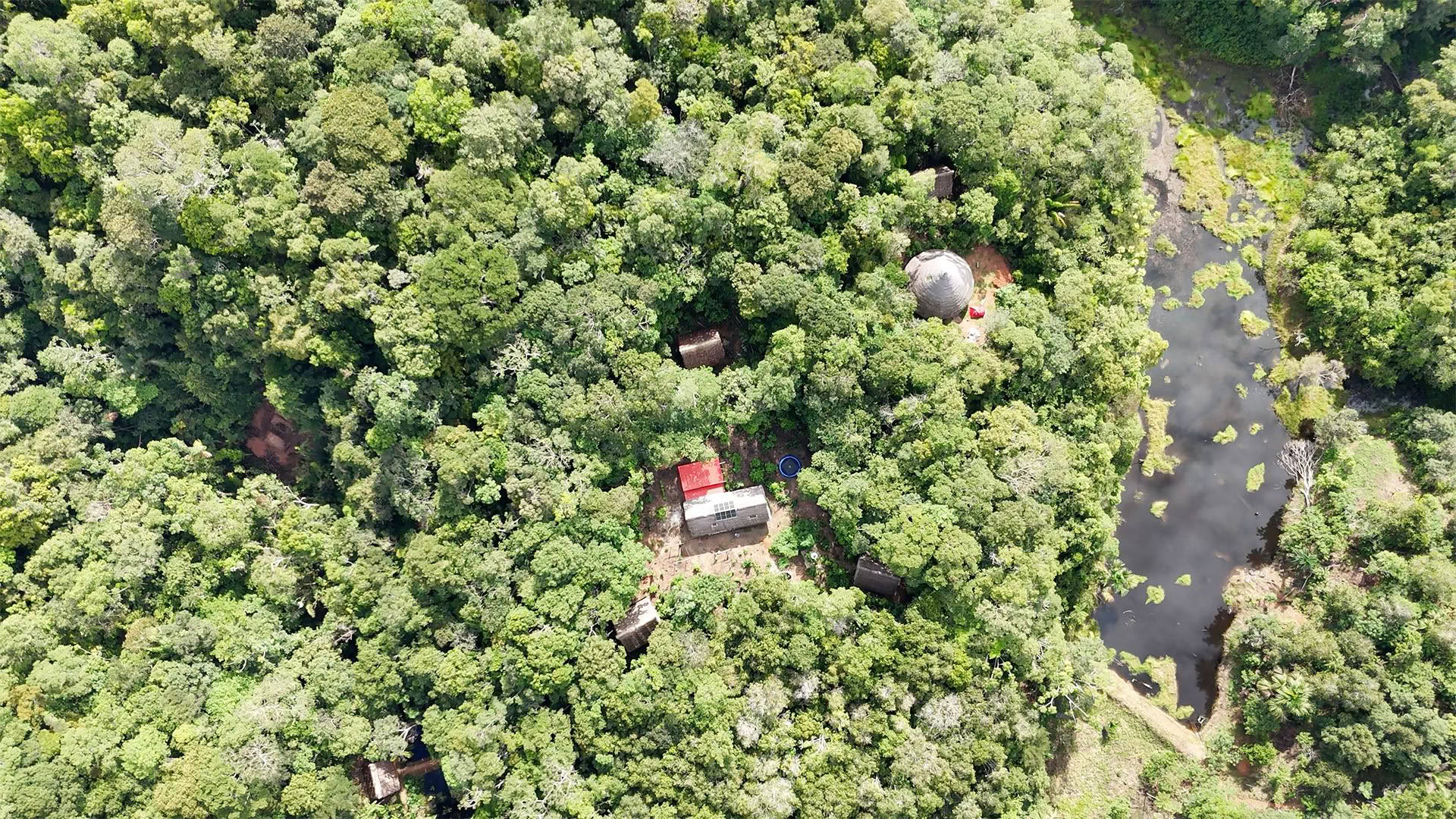 Offenes Ayahuasca-Retreat