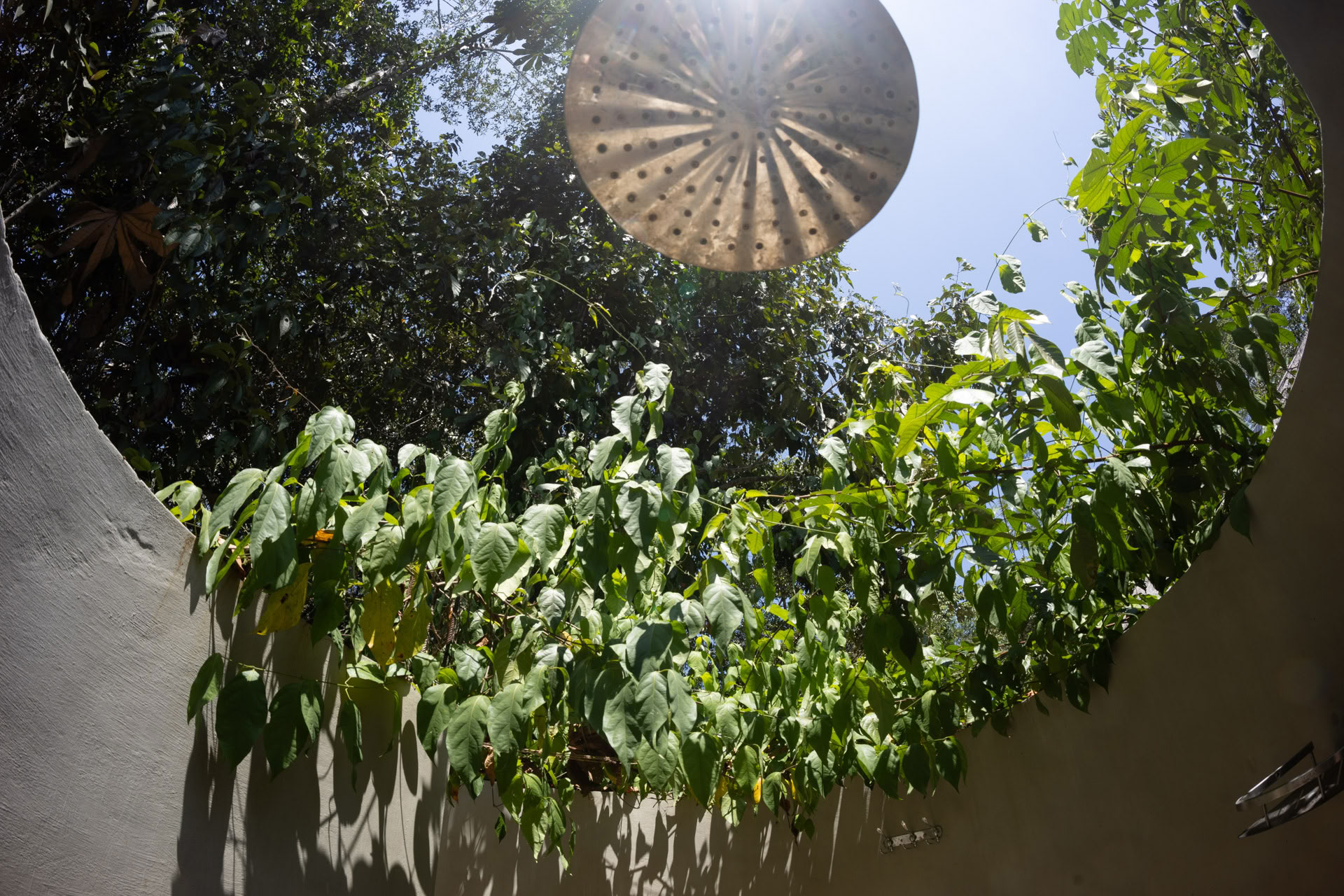 Offenes Ayahuasca-Retreat