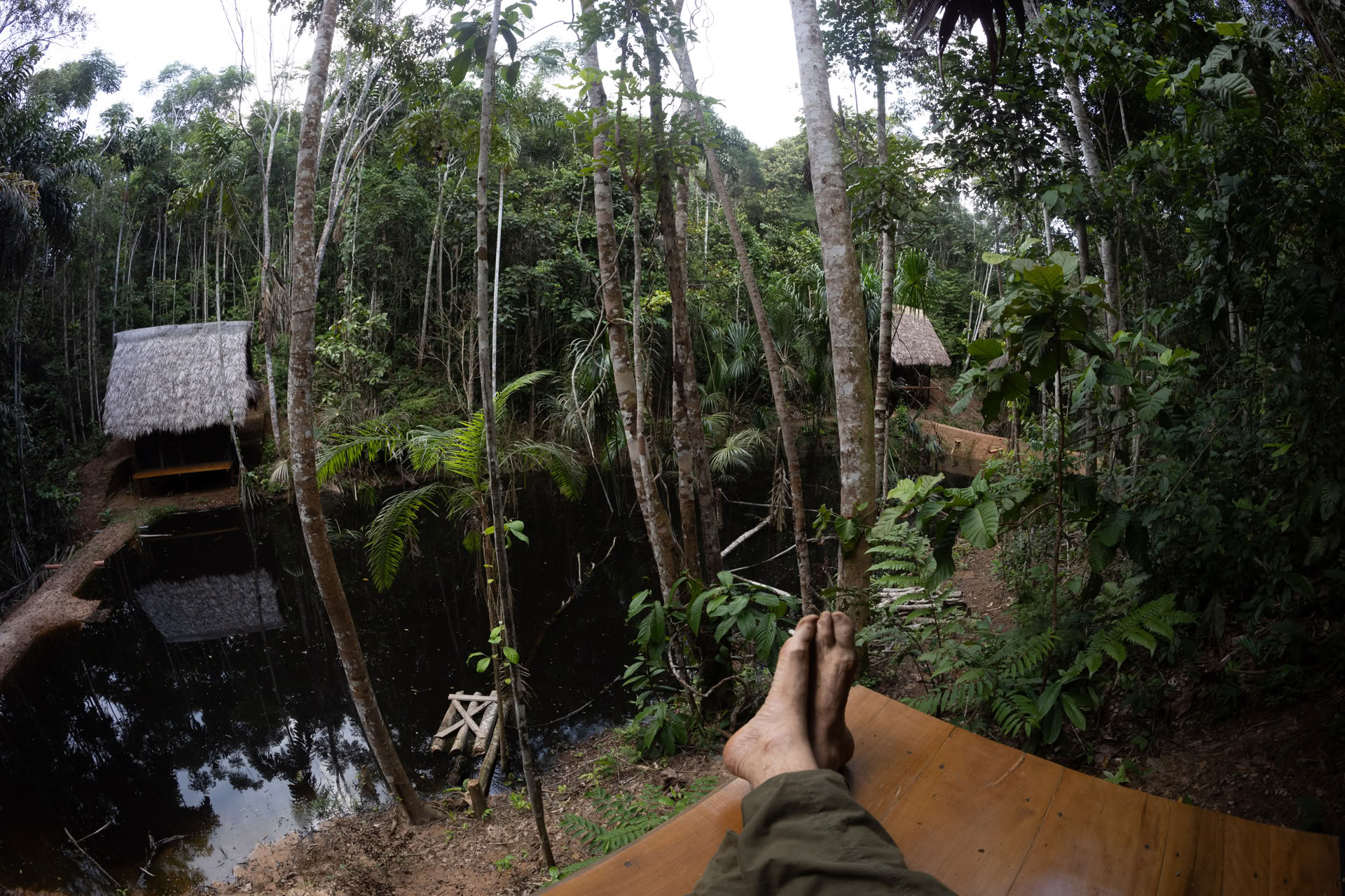 Offenes Ayahuasca-Retreat