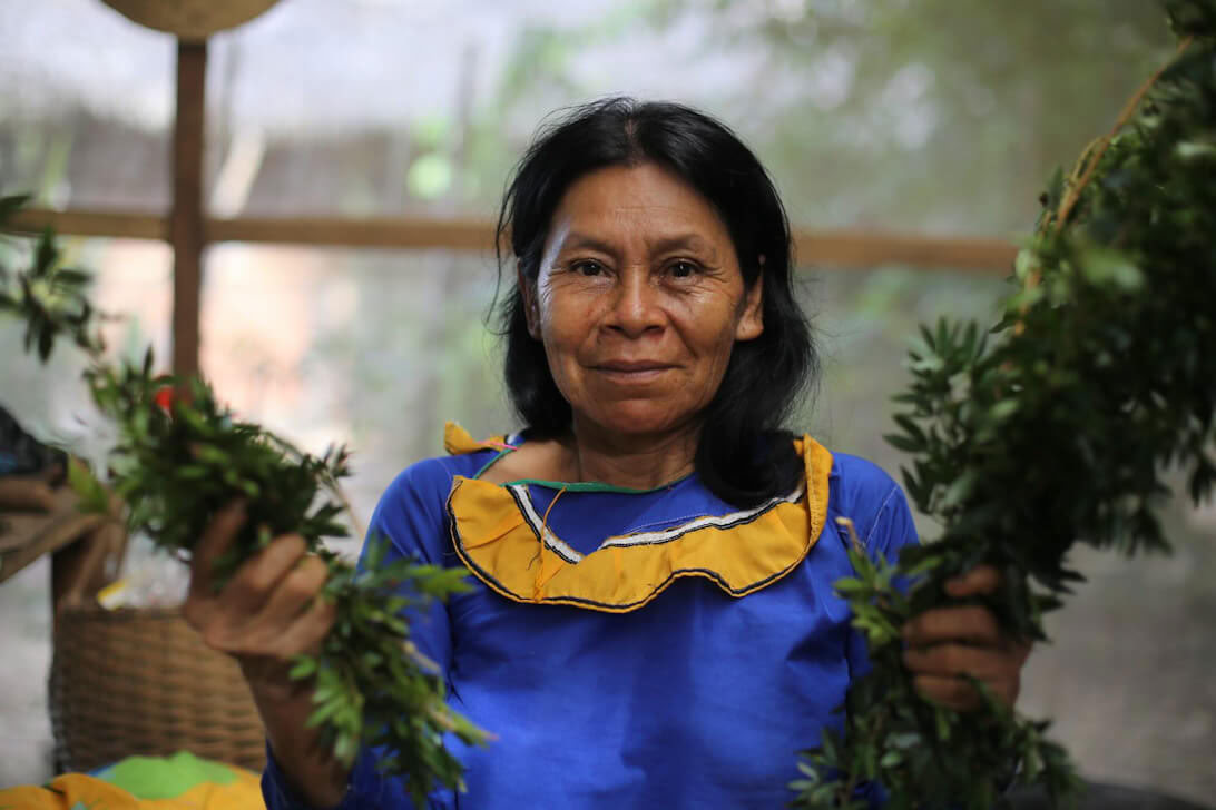 Ayahuasca-Retreat & Meisterpflanzen-Diät in Peru