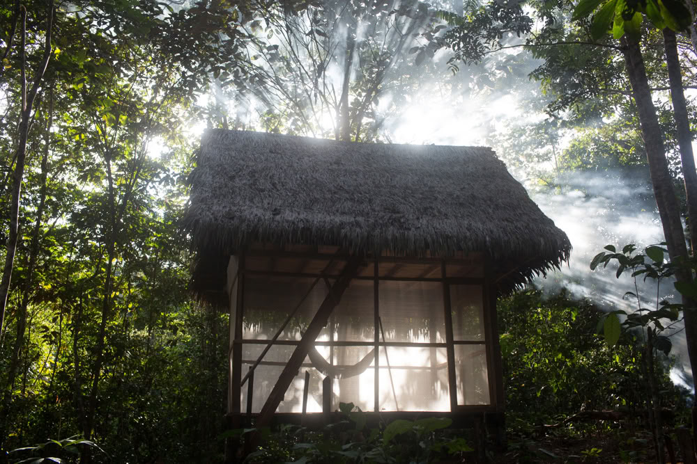 Ayahuasca-Retreat & Meisterpflanzen-Diät in Peru
