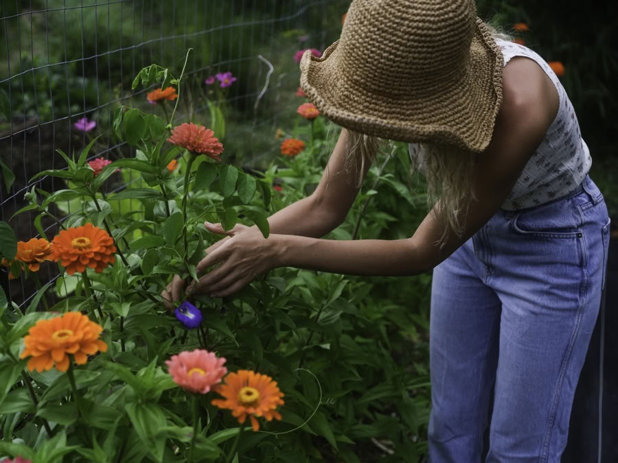 Aloha Maui Farm Tour