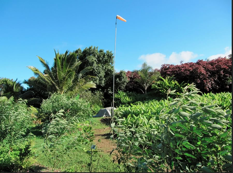 Aloha Maui Farm Tour