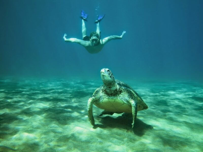 CGA's Hawaiian Wellness- und Abenteuer-Retreat