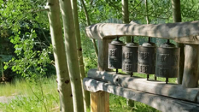 Awake in the Wild (Oktober): Erkundung von Weisheit und Erwachen in der Natur