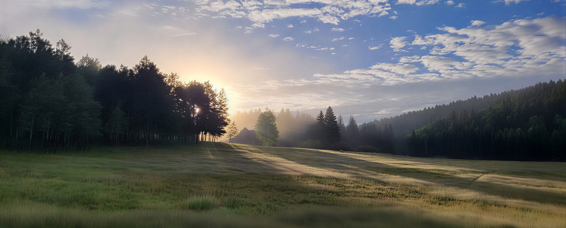 Awake in the Wild (Oktober): Erkundung von Weisheit und Erwachen in der Natur