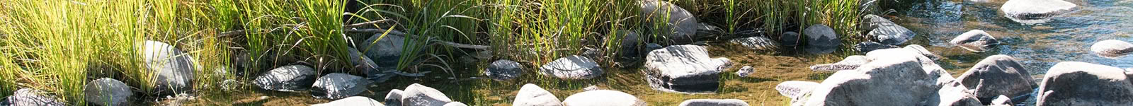 Land als Dharma-Lehrer (August)
