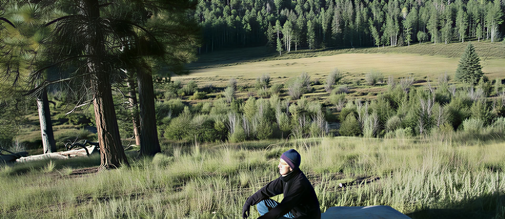 Land als Dharma-Lehrer (August)