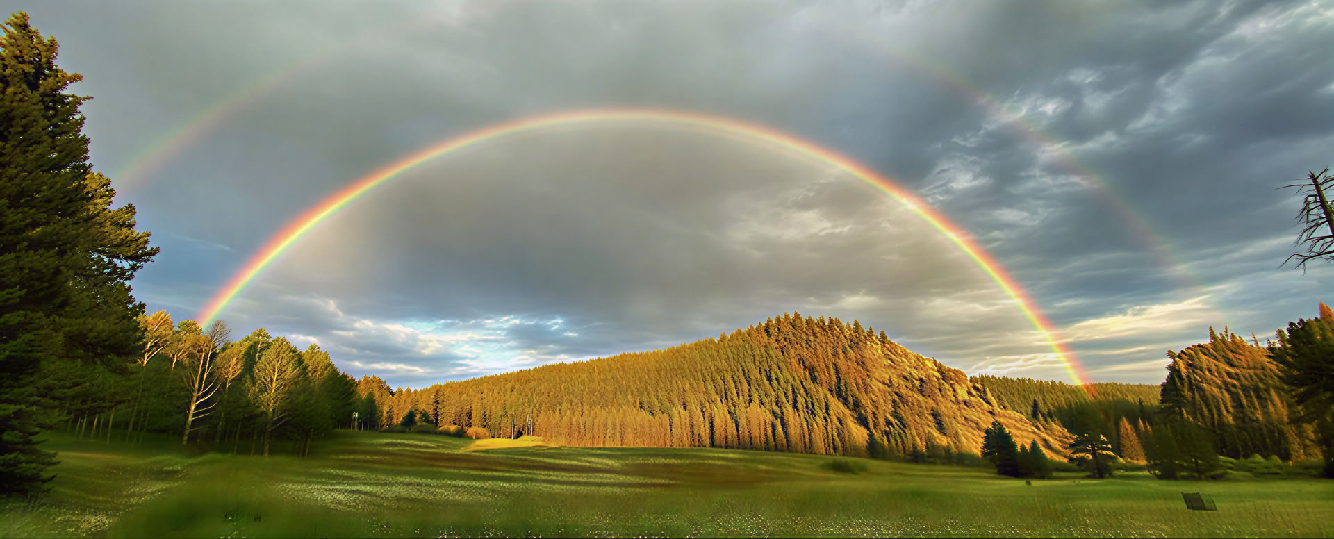 Zur Erde gehören: Ein BIPOC-Insight-Retreat in der Natur