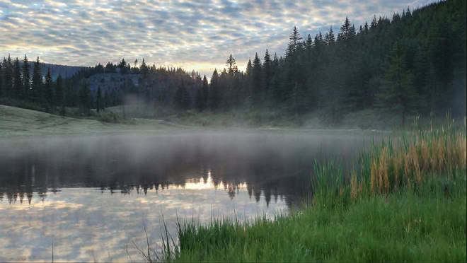 Deep Refuge: Ein LGBTQIA+-Gemeinschafts-Retreat in der Natur