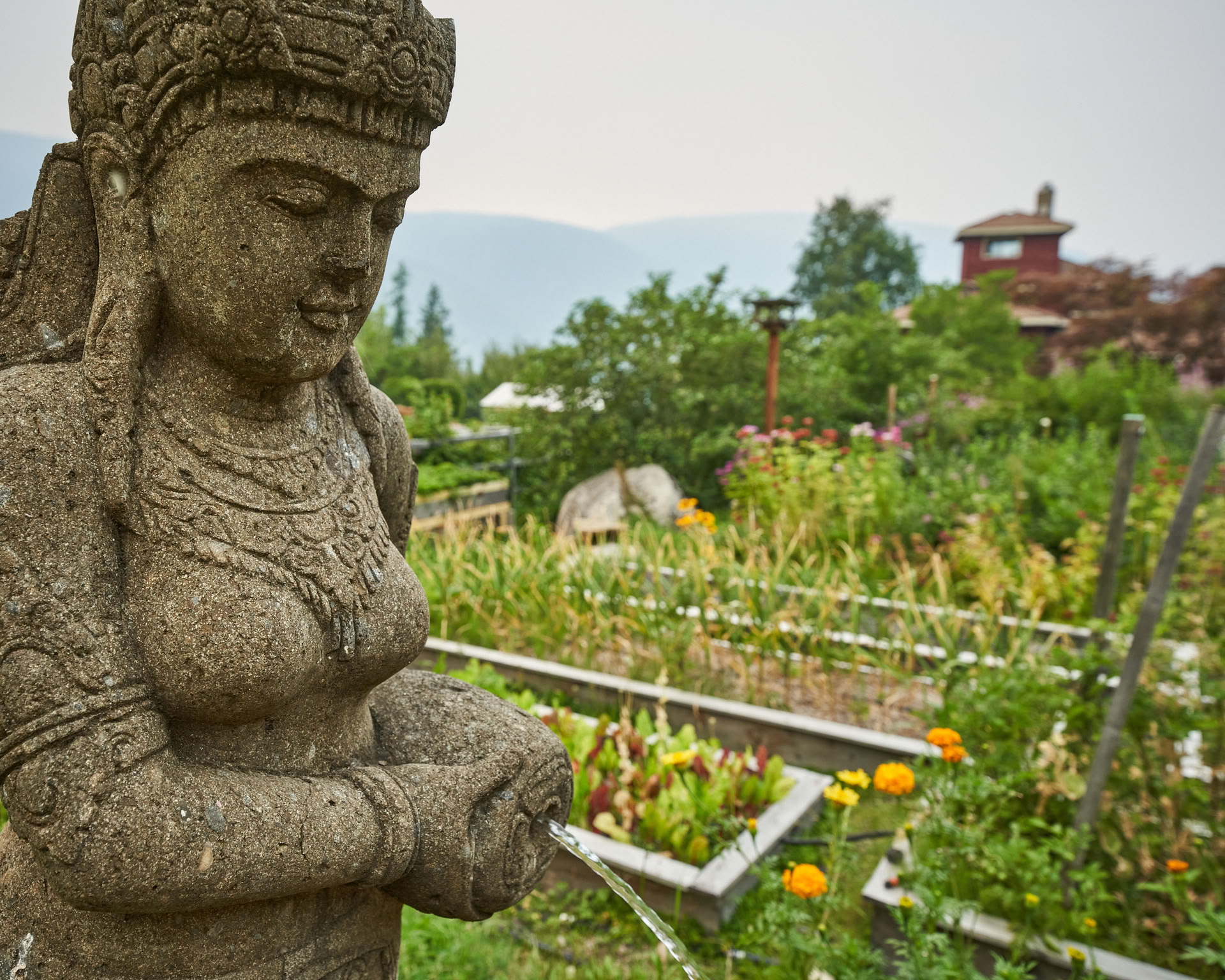 Radiance | Ein von der Pachakuti Mesa inspiriertes zeremonielles Retreat