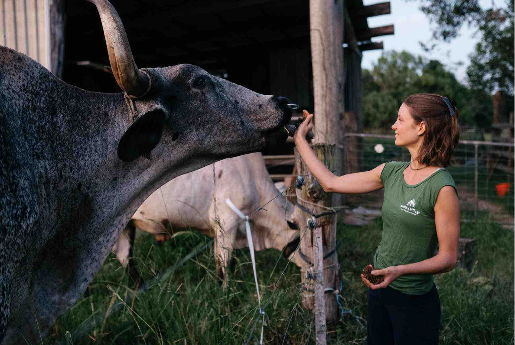 Yoga-Kurs für Anfänger: „Cultivate your Home Practice“