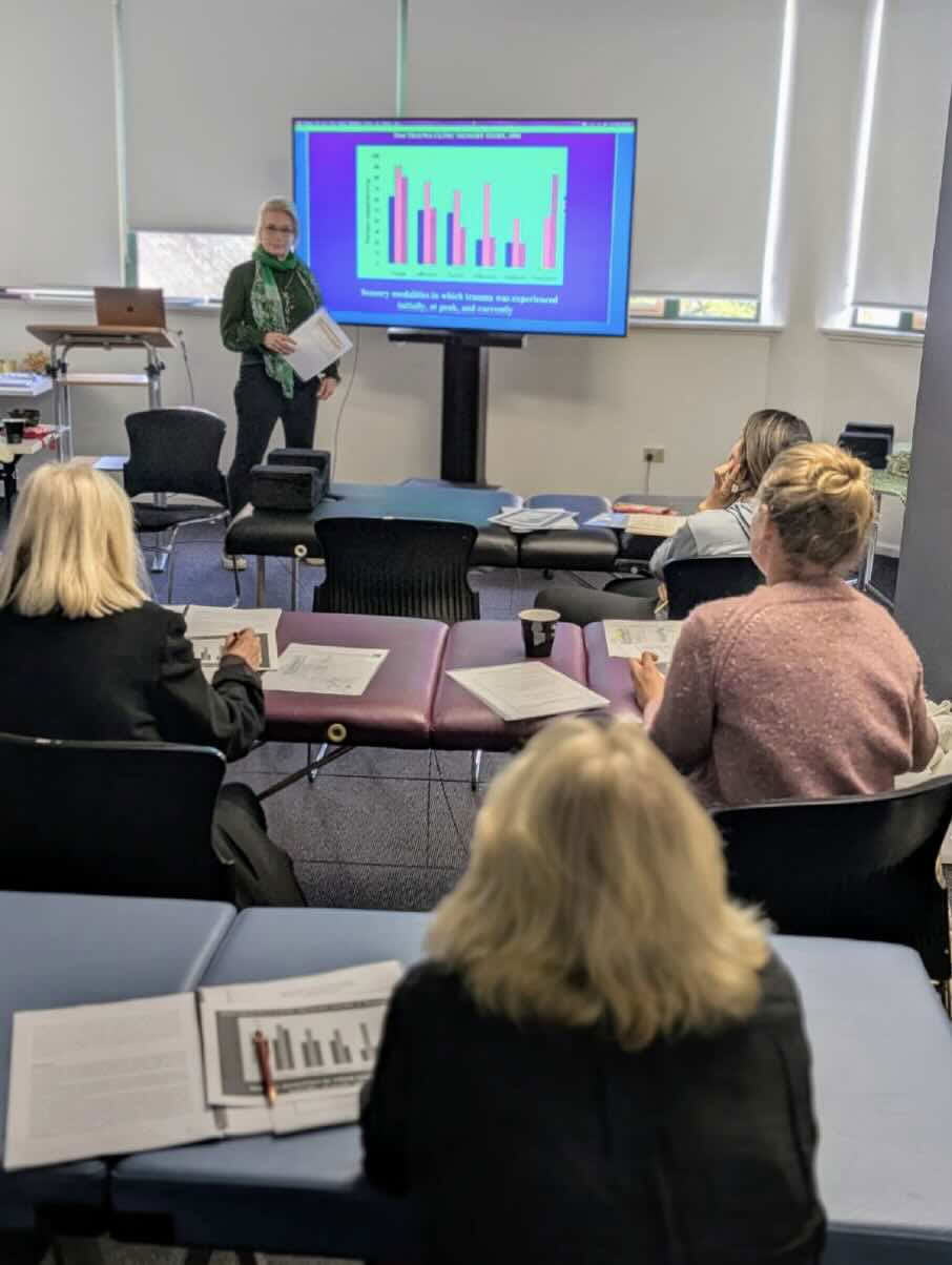 Stress, Trauma & Nervensystemregulationskurs