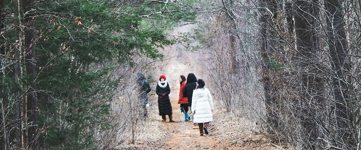 Heal the Healers Winter-Heilungsretreat