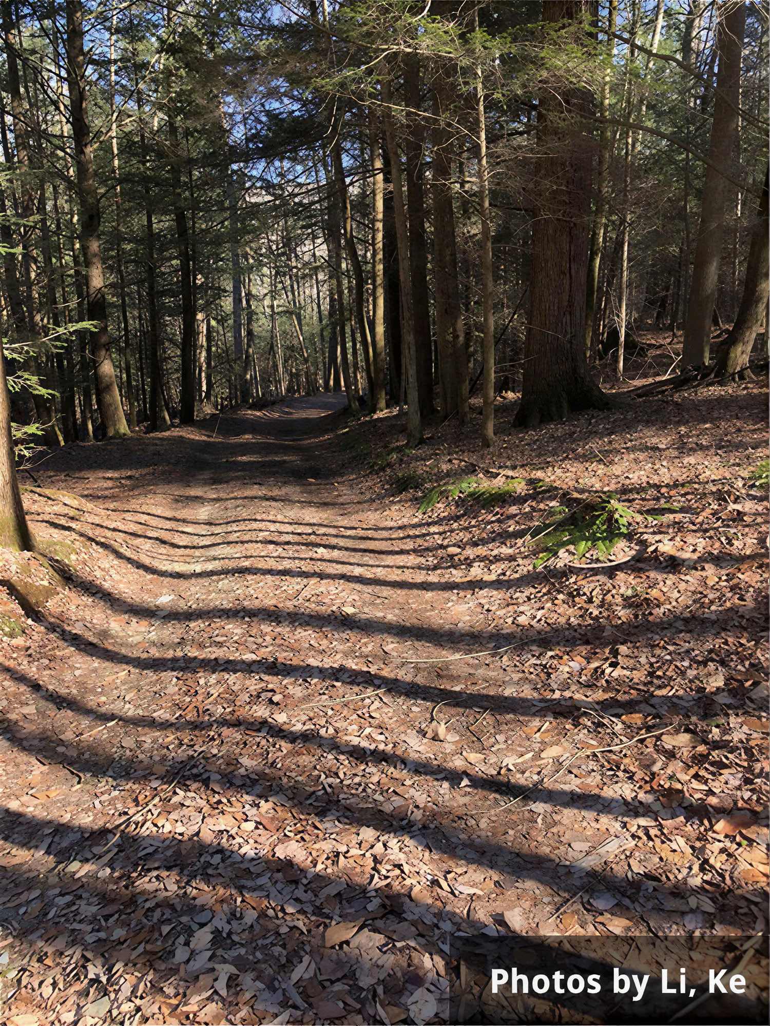 Heal the Healers Winter-Heilungsretreat