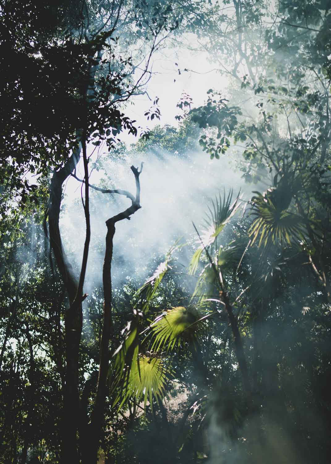 Sacred Flow Retreat – 21. - 28. November