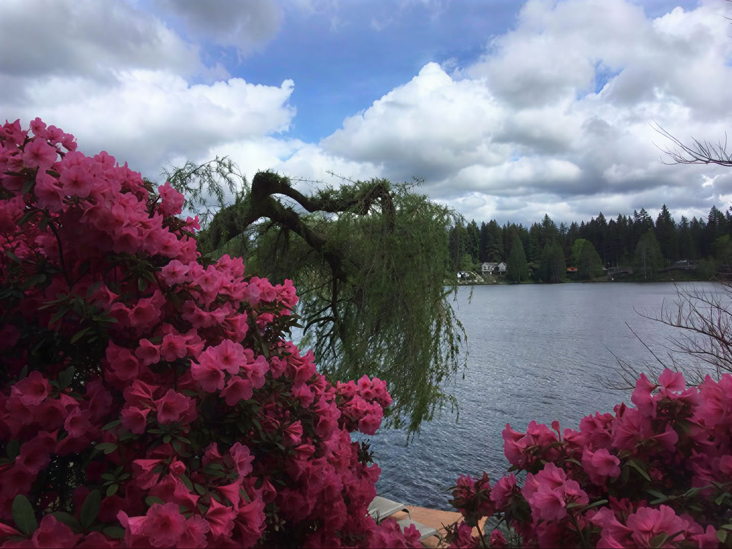 Cottage Lake Bed and Breakfast Spirituelles Retreat